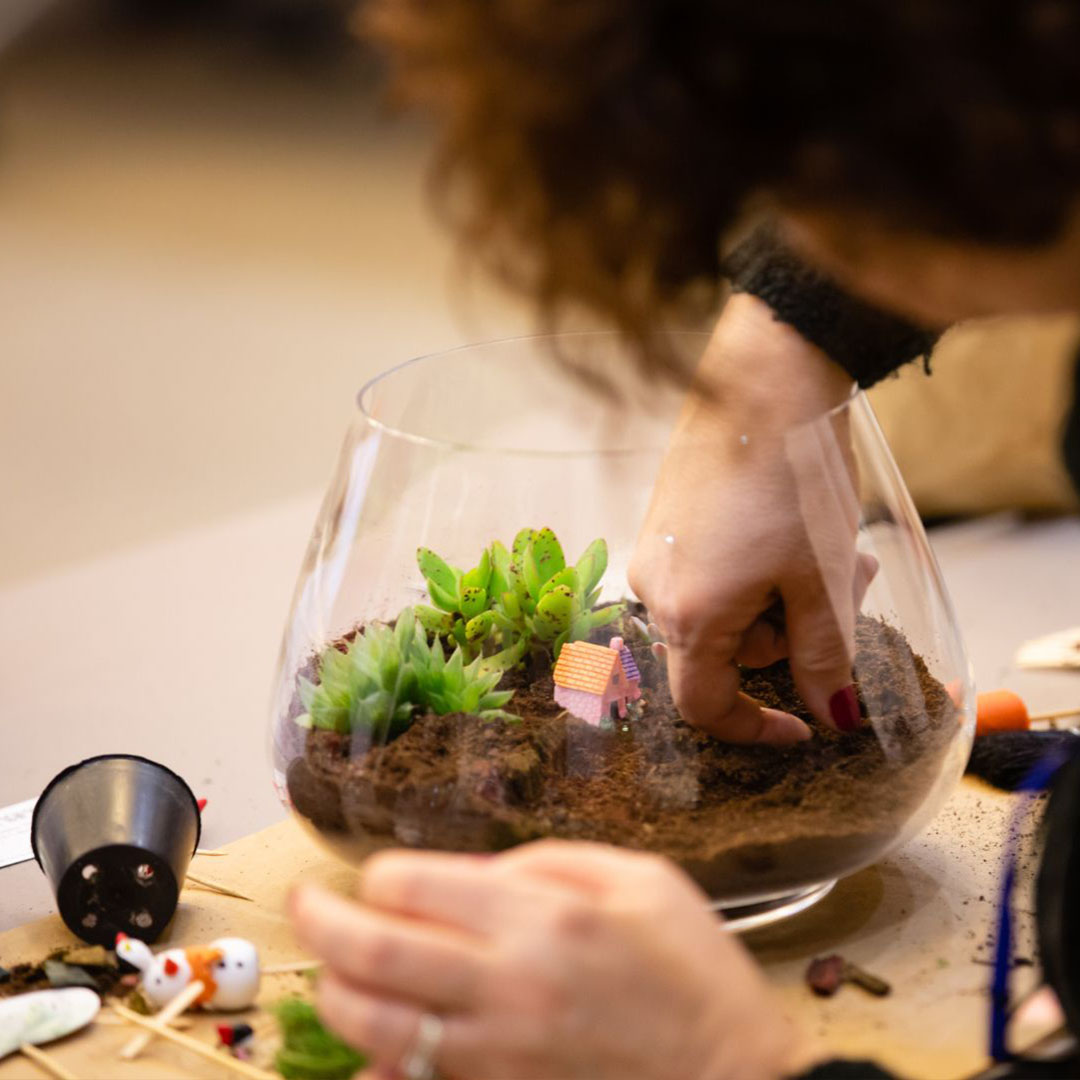 escapade tunisie corporate atelier terrarium