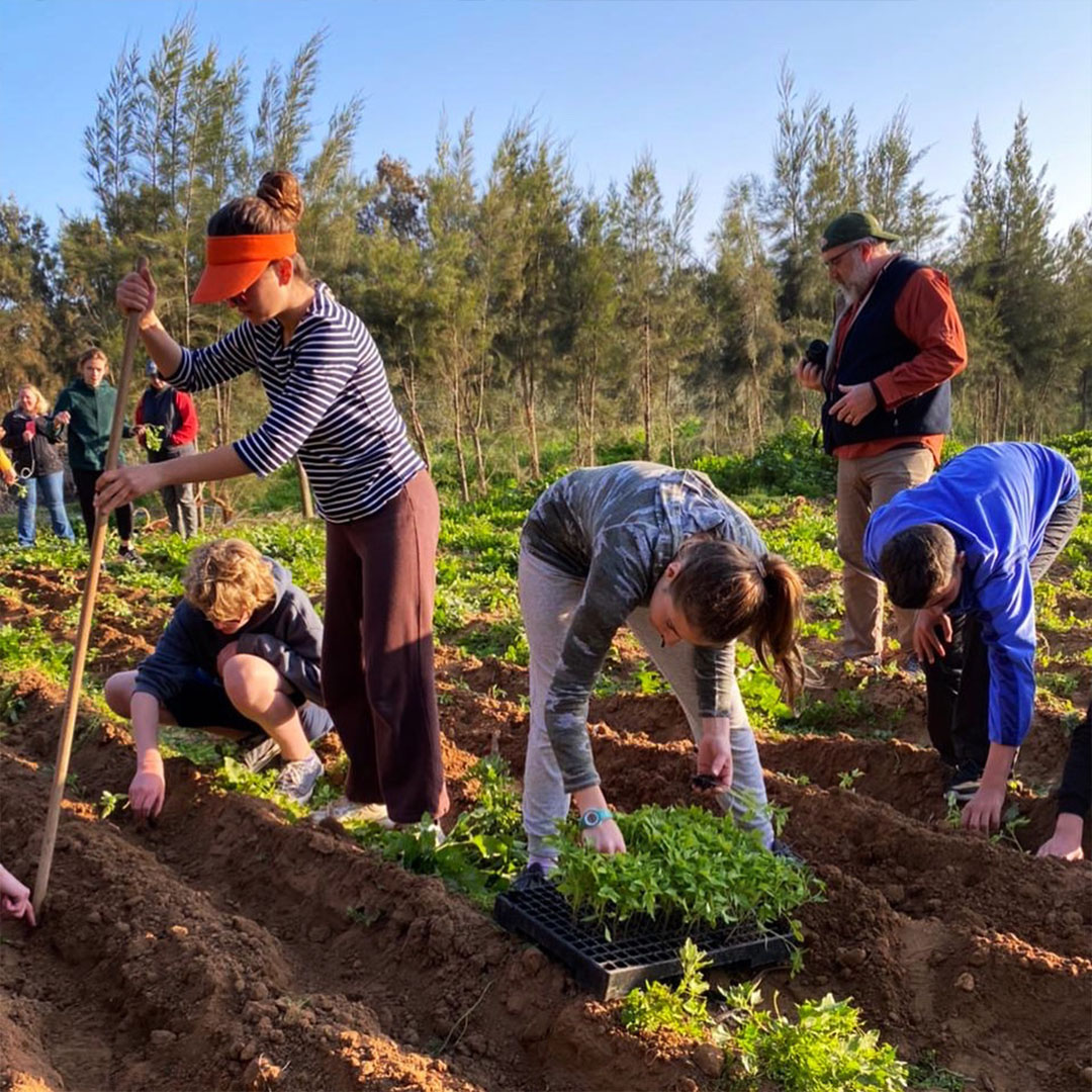 escapade tunisie for kids 2