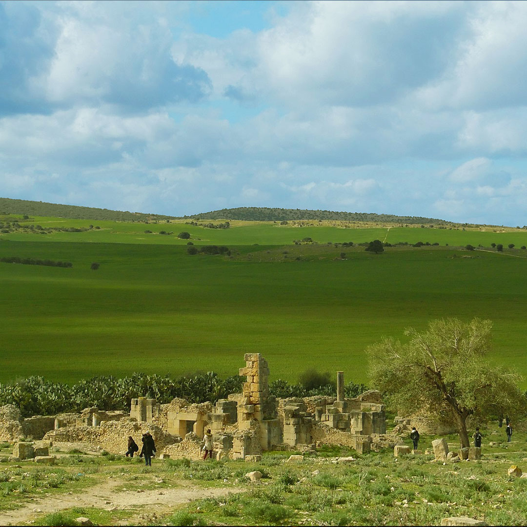 escapade tunisie for kids 9